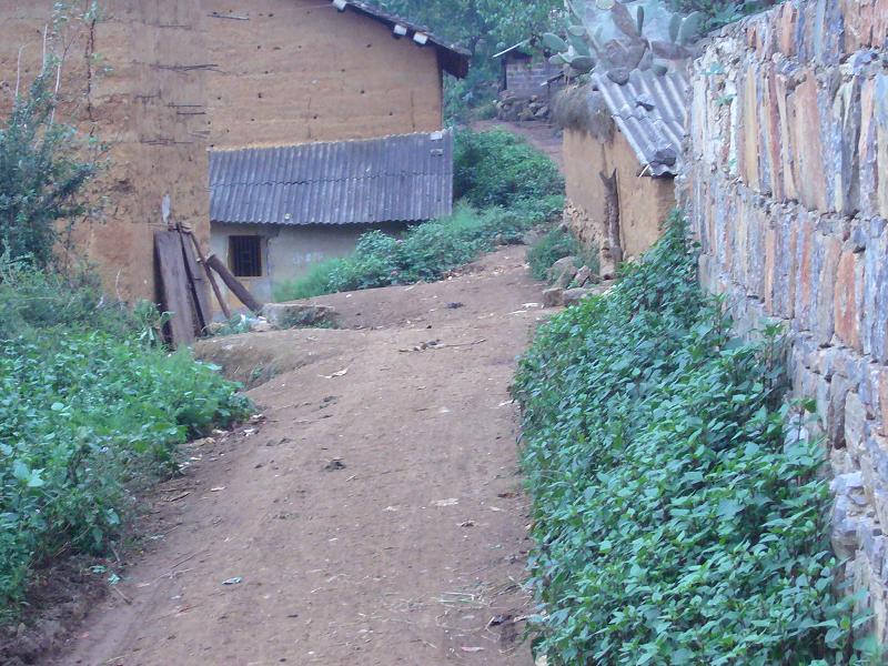 白臉山村村內道路