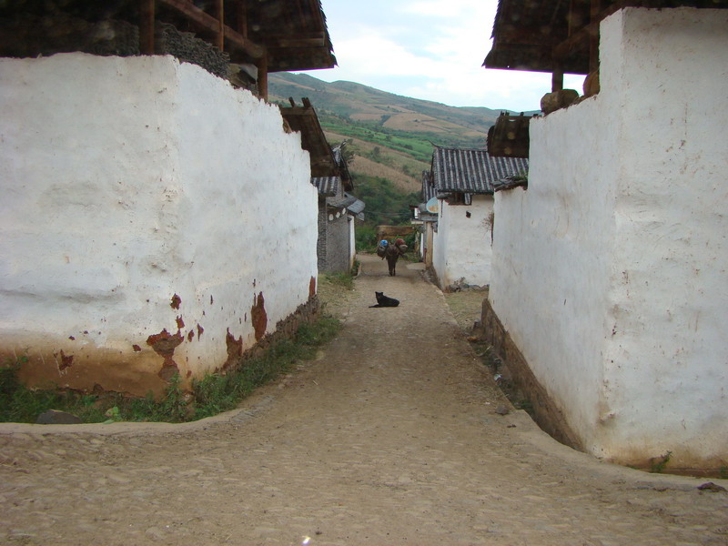 太陽坪村道路