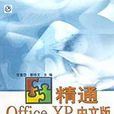 精通 Office XP 中文版