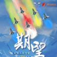 期望(2023年11月發布的慶祝人民空軍成立74周年主題宣傳片)