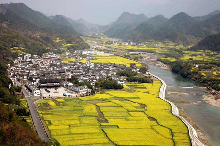 龍川村總體概貌圖