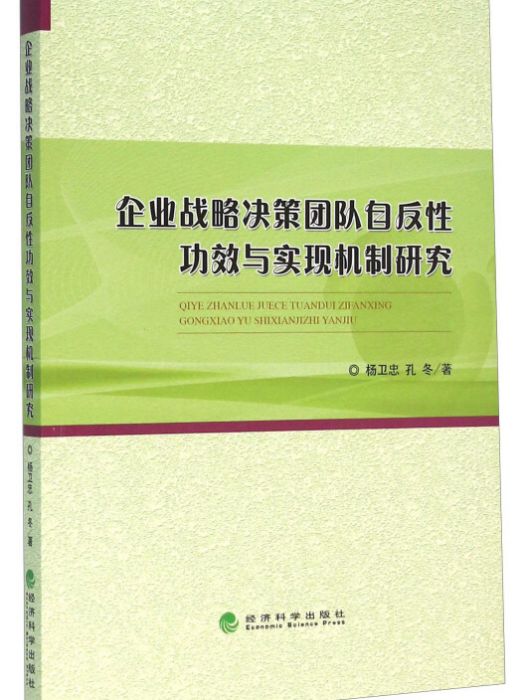 企業戰略決策團隊自反性功效與實現機制研究