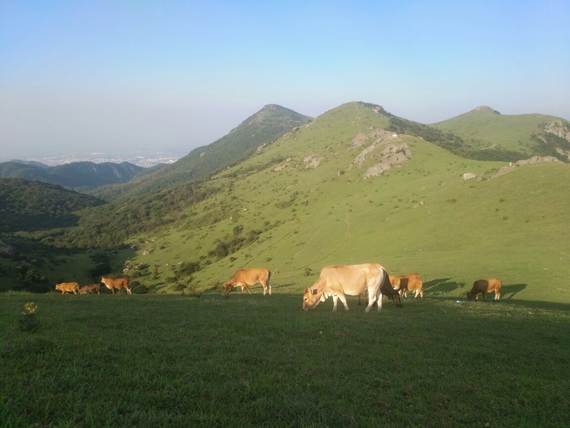 大姆山