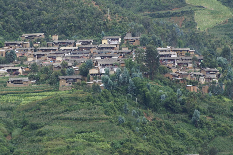 山口村(峨山縣大龍潭鄉各雪村民委員會下轄村)