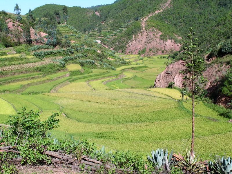 小依瓦拉村