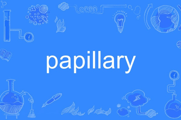 papillary