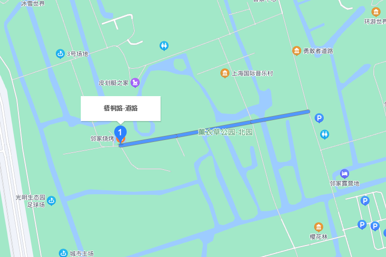 梧桐路(上海市梧桐路)