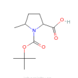 (2S,5R)-N-Boc-5-甲基吡咯烷-2-甲酸