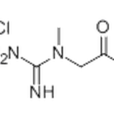 肌酸鹽酸鹽
