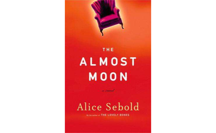 近乎完美的月亮THE ALMOST MOON