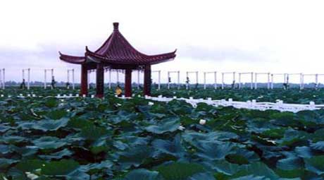 江蘇盱眙第一山國家森林公園