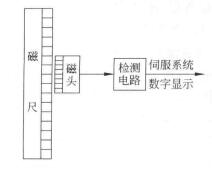 磁尺位置檢測裝置