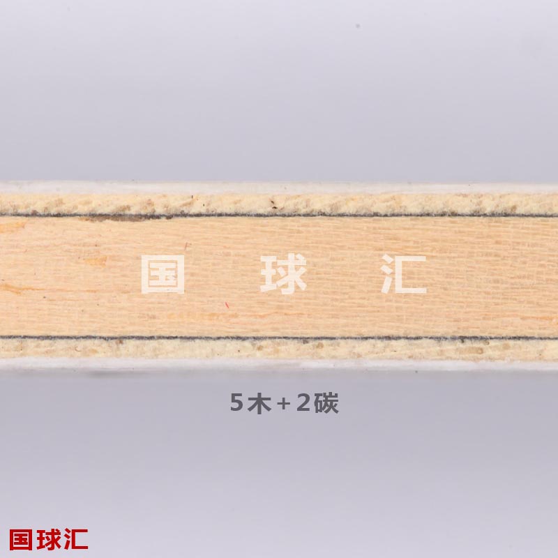 斯帝卡CC5的結構