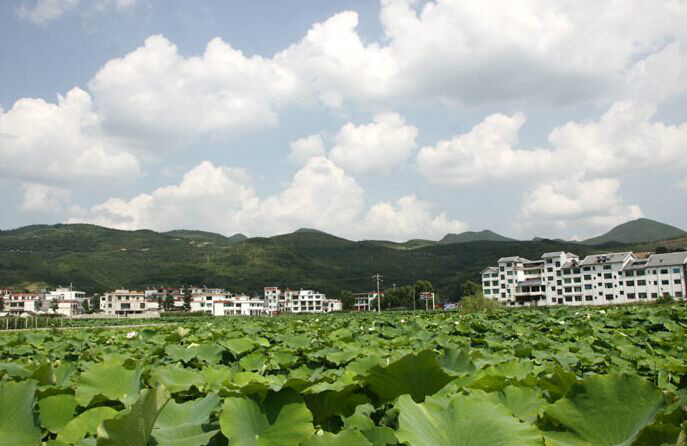 後壩村(貴州省貴陽市息烽縣永靖鎮後壩村)