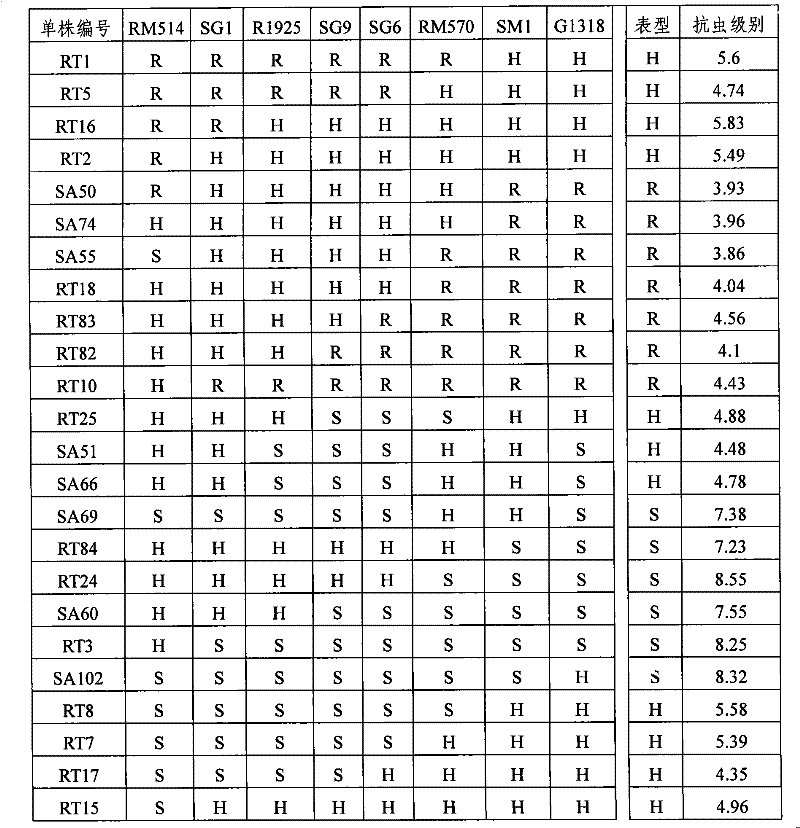 水稻抗褐飛虱基因及其套用