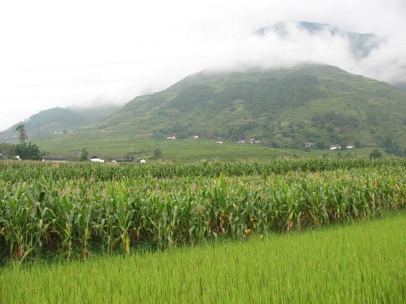 山甸坊村