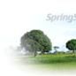 springsoft