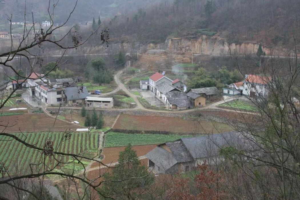 升坪村(廣西壯族自治區桂林市興安縣華江瑤族鄉下轄村)