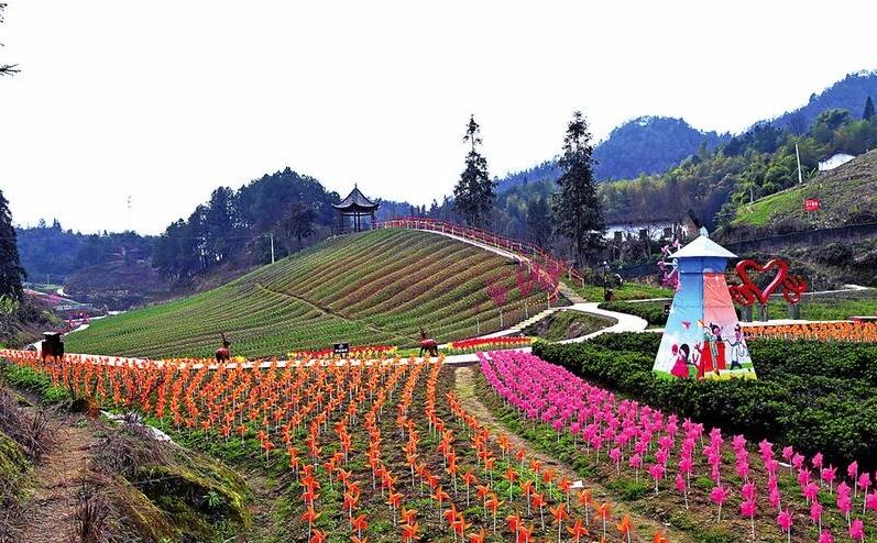 郭家鎮：鐘坪山花谷