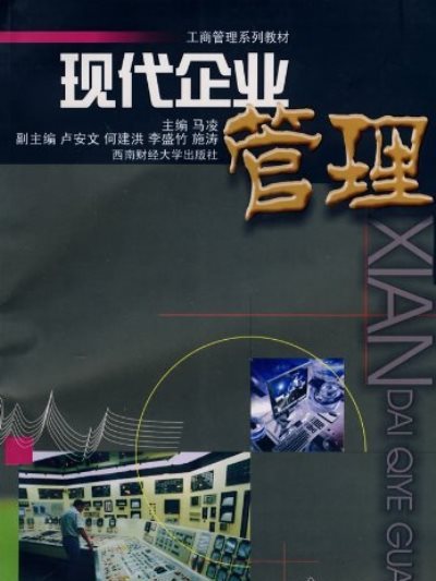 現代企業管理(2008年西南財經大學出版社出版的圖書)