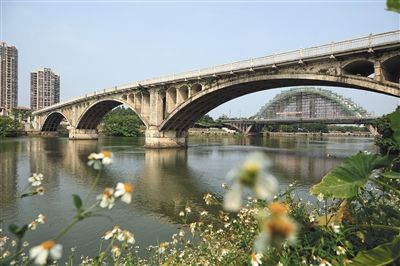 高埗大橋