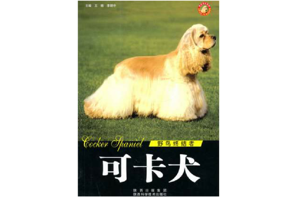 世界名犬-可卡犬