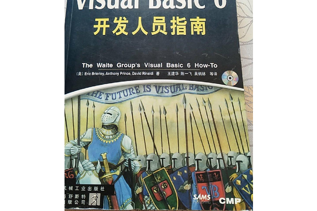 Visual Basic 6開發人員指南