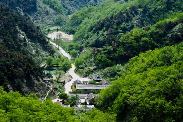 垛莊鎮(山東省濟南市章丘區垛莊鎮)