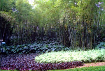 千佛洞國家森林公園