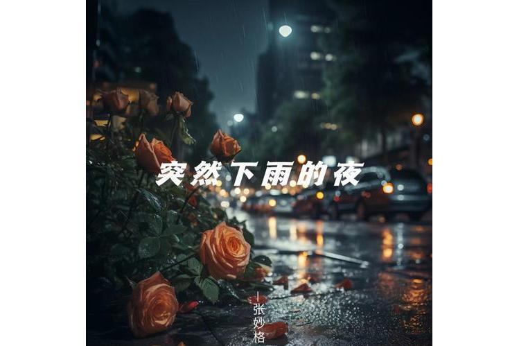 突然下雨的夜