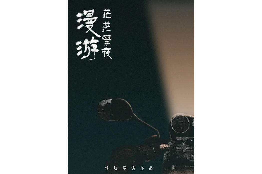 茫茫黑夜漫遊(韓旭執導的電影)