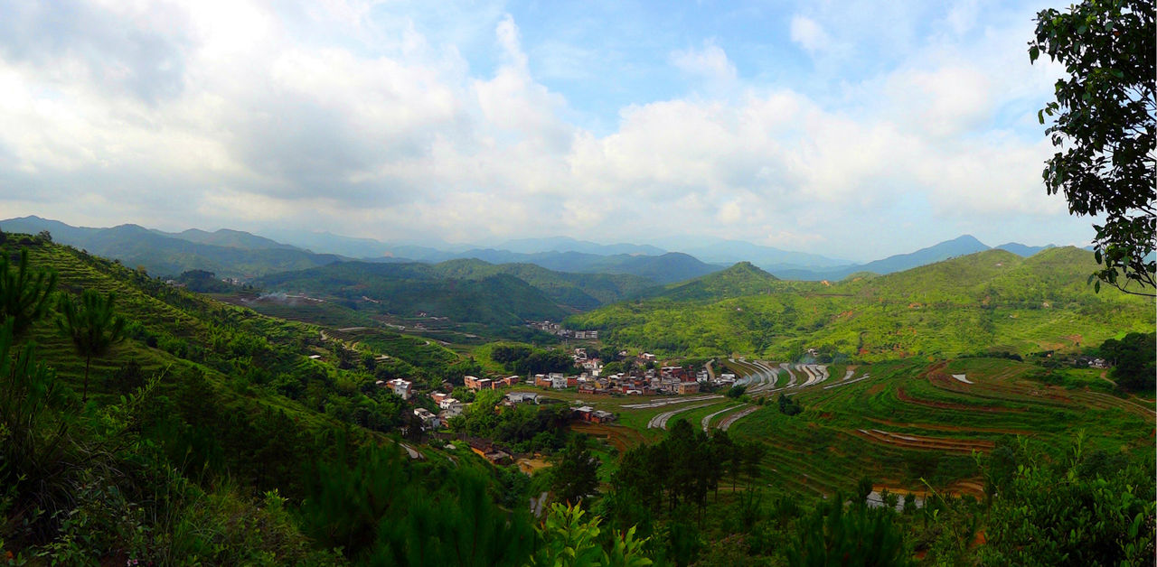 大東鎮(廣東省梅州市大埔縣轄鎮)