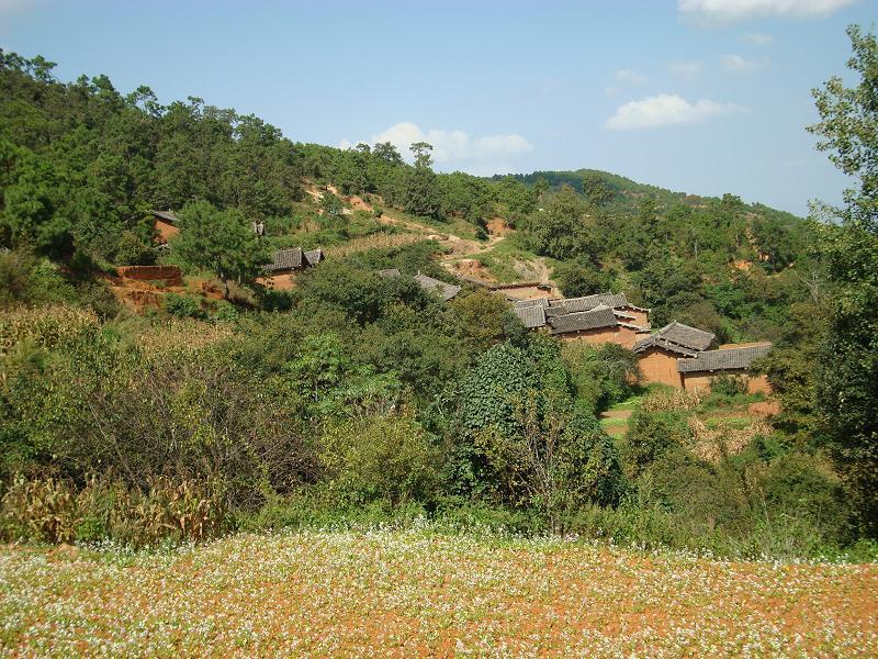 白銅廠村