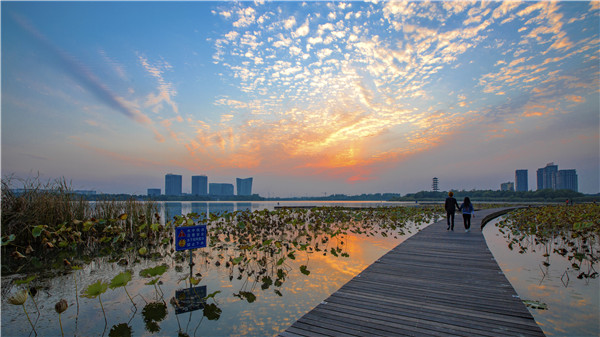 張家港暨陽湖省級濕地公園