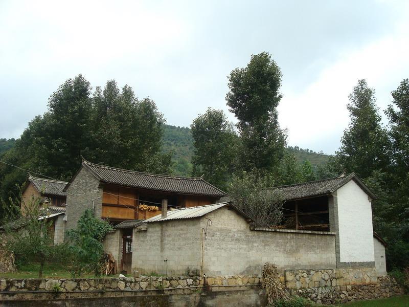 新宅村(雲南省昆明市石林縣鹿阜鎮下轄村)