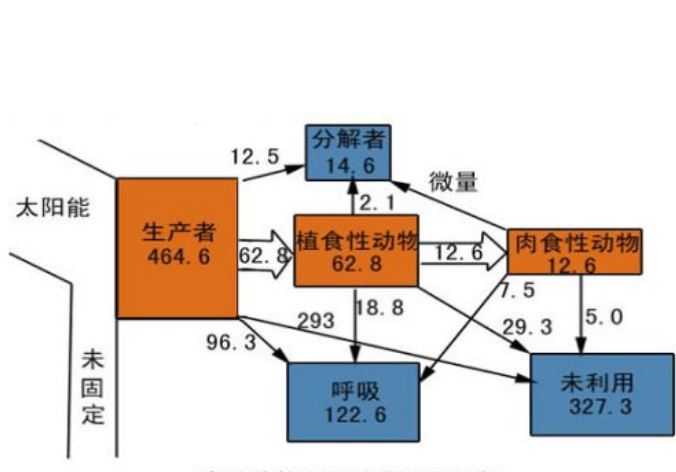 群落代謝