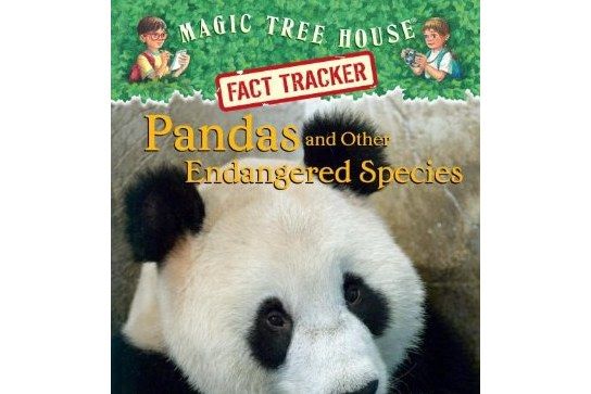 Pandas and Other Endangered Species