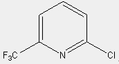 2-氯-6-三氟甲基吡啶