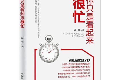 你只是看起來很忙(2017年中國商業出版社出版的圖書)