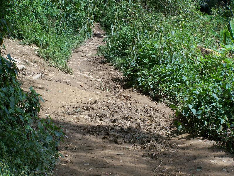 自革自然村村內道路