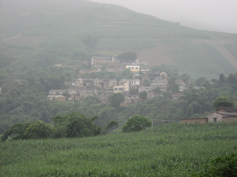 東峨鎮新光村