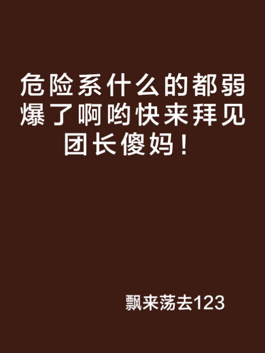 危險系什麼的都弱爆了啊喲快來拜見團長傻媽！