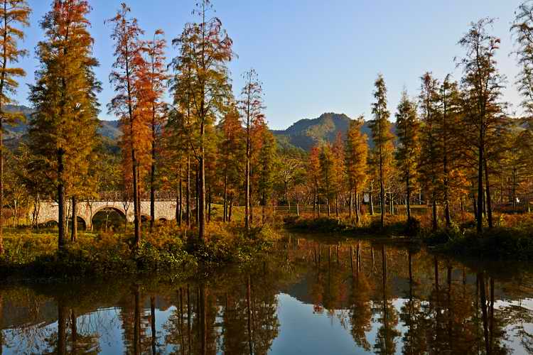 森波拉溫泉度假村