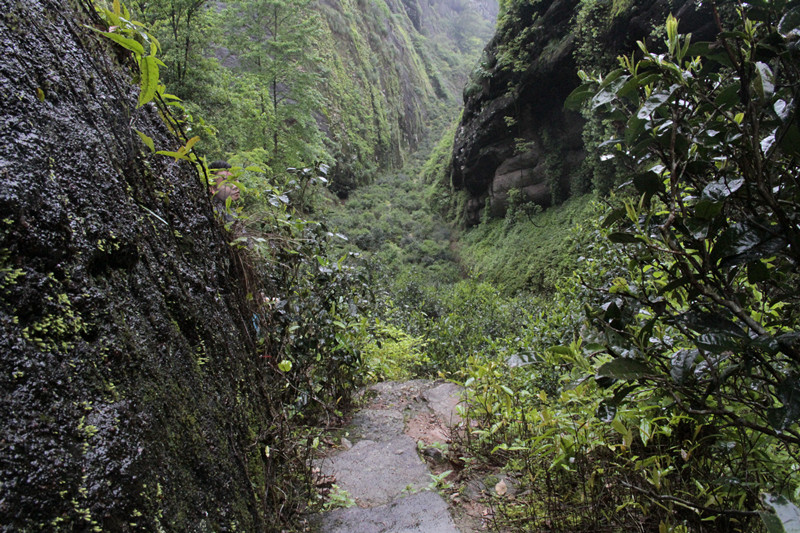 內鬼洞古道