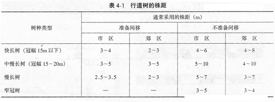 大規格行道樹