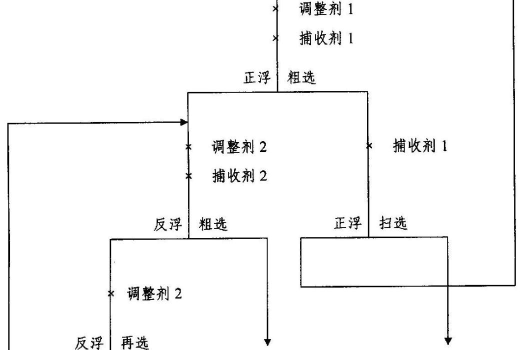 一種膠磷礦正反浮選工藝