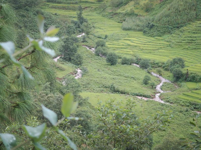 大龍一自然村