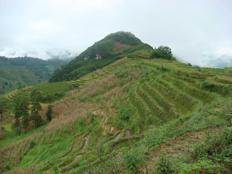 瑤舊寨村耕地