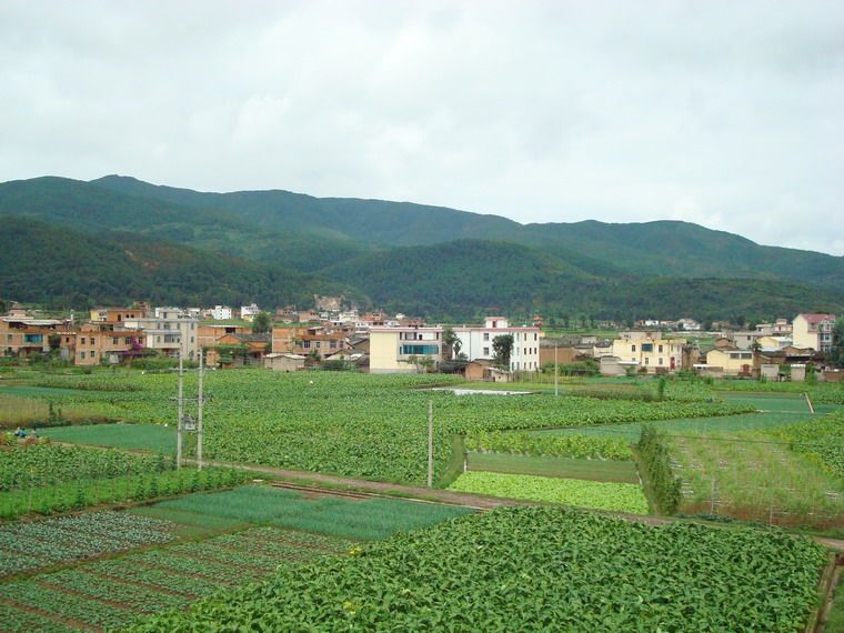 張錢村(雲南大姚縣金碧鎮下轄村)