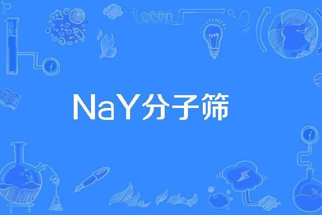 NaY分子篩